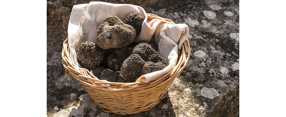 tavola con tartufi 