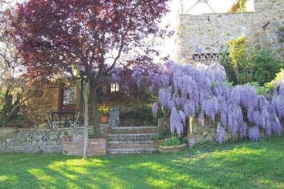Manutenzione Piante ornamentali per Giardini privati e pubblici
