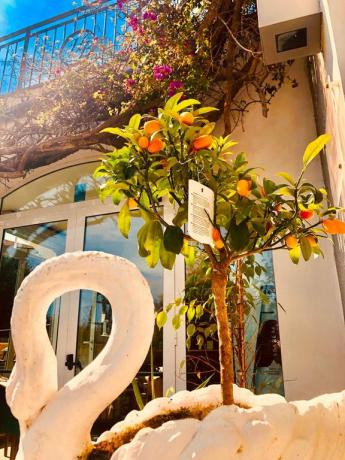 Hotel a Imperia 700m spiaggia