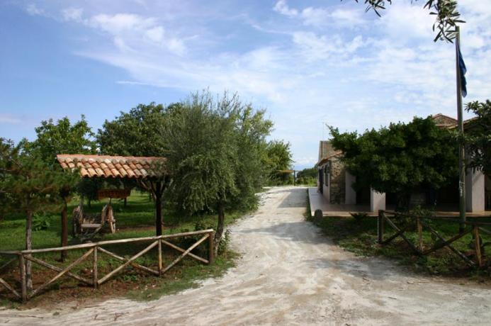 Vicino Tropea Agriturismo Contrada con Piscina