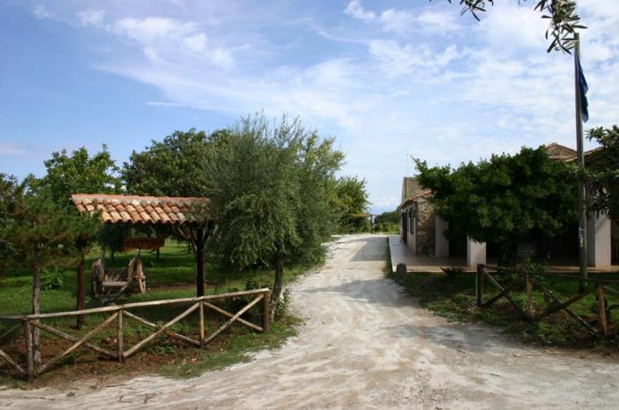 Vicino Tropea Agriturismo Contrada con Piscina 