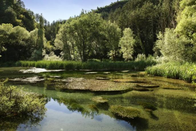 Trekking, escursioni, natura in Umbria Sellano