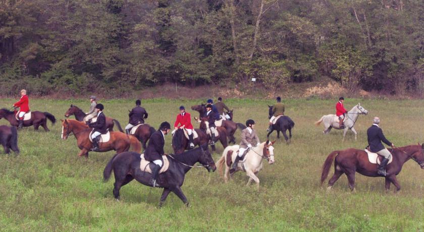 Attività sportive a cavallo nel bosco 