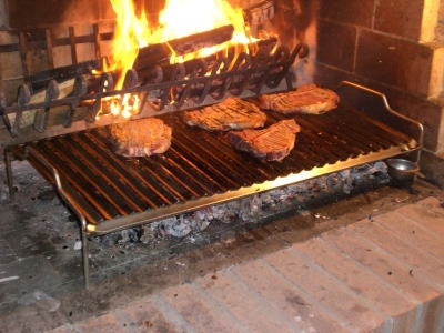 Griglia per caminetti in acciaio inox