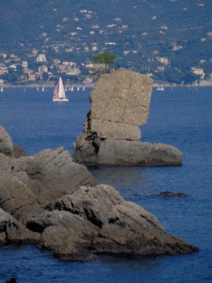 Familyholiday in Liguria