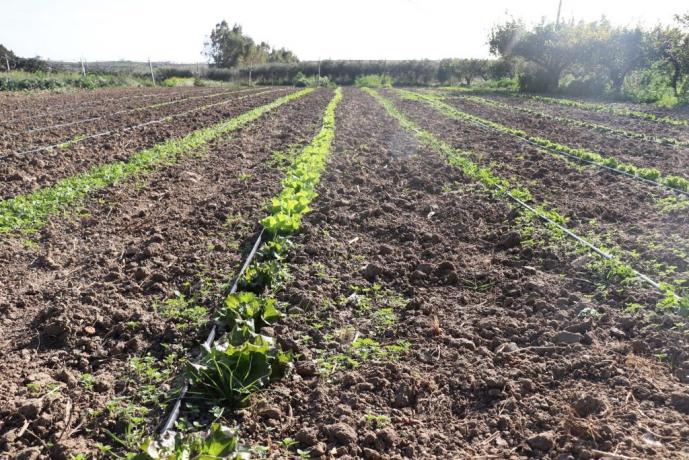 Agriturismo con azienda agraria Trapani 