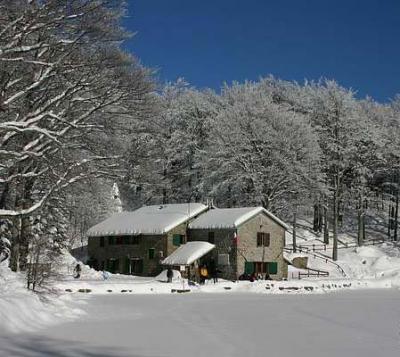 Visit the lake in the winter!