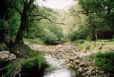 Ruscelli del Parco Nazionale del Gran Sasso