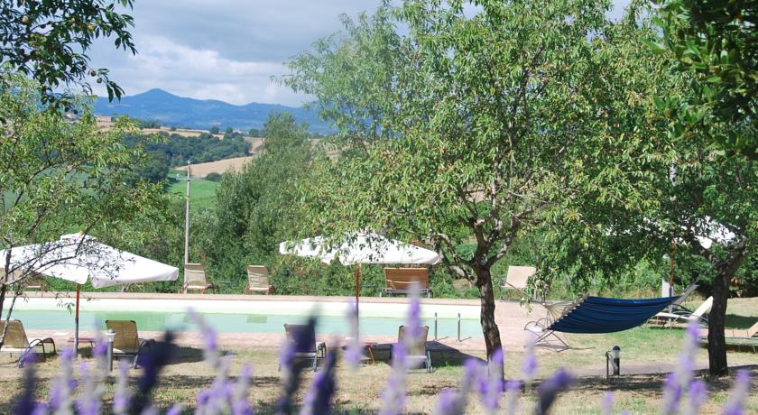 Bellissima piscina immersa nel verde 