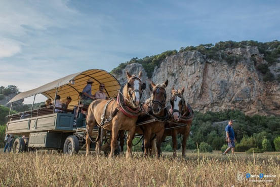 agriturismo vicino parco naturale della maremma