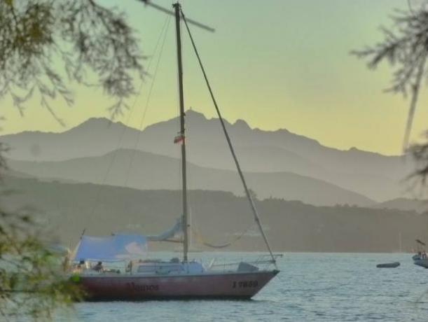 Escursione in Barca-Vela isola delba portoferraio