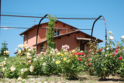 Suite Montefalco con area esterna attrezzata 