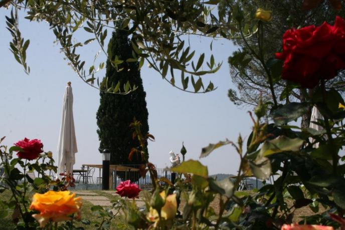 Giardino Piscina Spa e ristorante in Relais Umbria