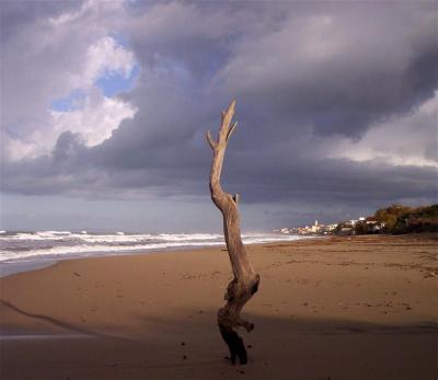 Alloggiare vicino alla Spiaggia a San Vincenzo