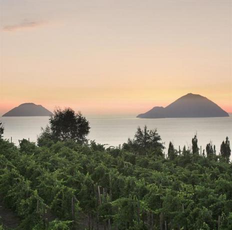 Appartamento vacanza con vista mare e vigneto Lipari