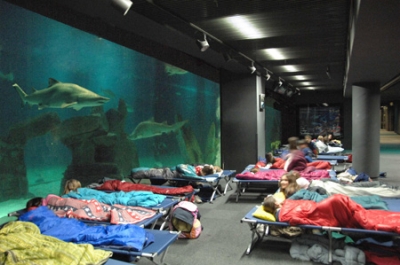 Sleep among the sharks at the  Aquarium of Genoa