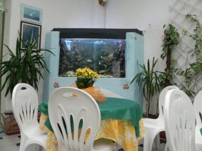 Splendido acquario marino