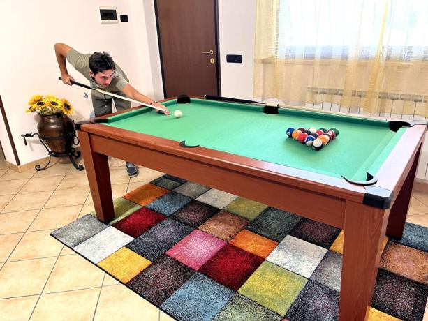 Villa Patty Billiards table free