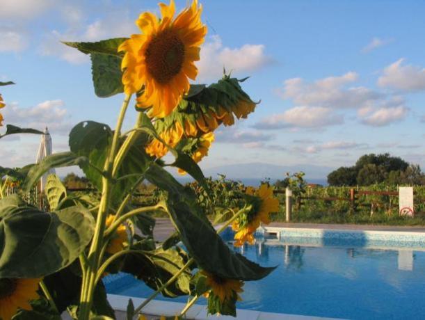 Piscina ed idromassaggio vicino a Tropea- Agriturismo Contrada 