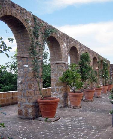 Country House tra Roma e Viterbo