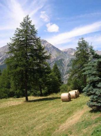Visita San Sicario e Piemonte anche d´estate