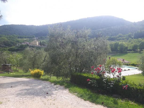 Agriturismo piscina vicino Cascata delle Marmore 