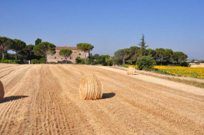 Agriturismo B&B vicino Siena - Asciano 