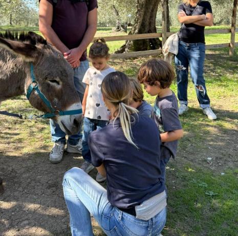 Agriturismo con Fattoria vicino Firenze
