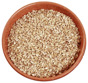 Farro Abruzzese