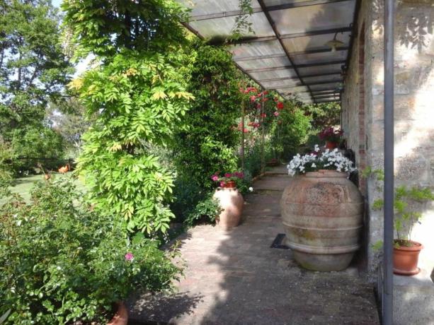 Soggiorni relax in Toscana, famiglie amici