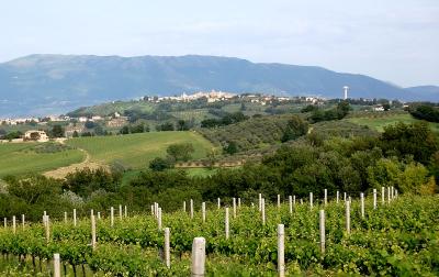 agriturismi a montefalco per i 100 giorni