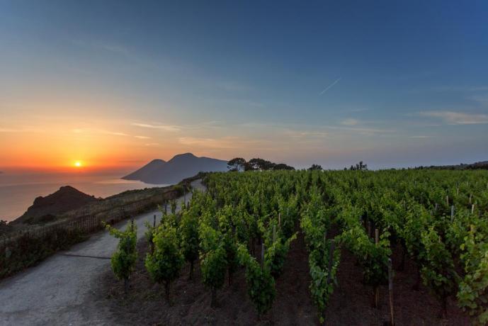 Relais 3km dal mare produzione vino Lipari