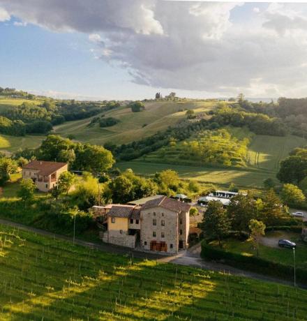Offerte-Casale-immerso-nel-verde-Fabro-posizione-strategica-per-visitare-Umbria
