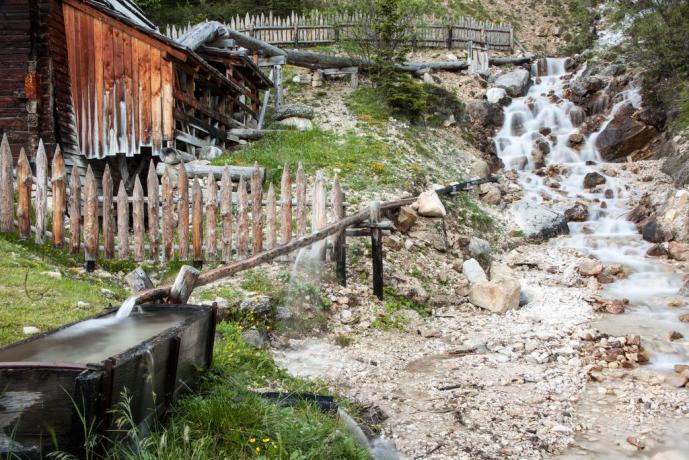 Appartamenti immersi nella natura Trentina a Bolzano 