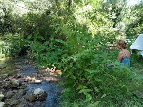 giardino sul fiume relax space 