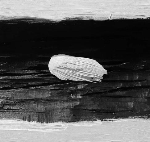 Paolo Di Capua, "ad esempio"