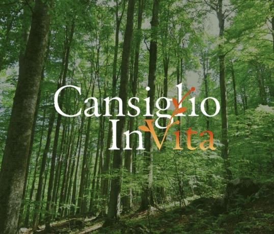 Cansiglio InVita: un festival sul benessere che arriva dalle foreste, prima edizione 15-18 Giugno 2023