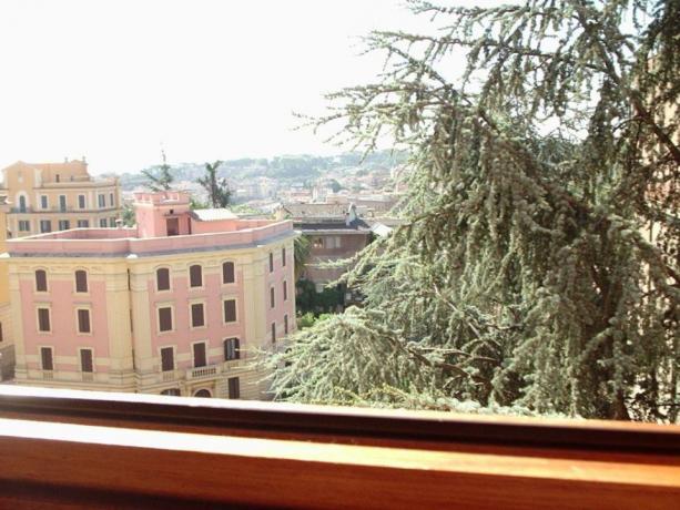 Vista panoramica di Roma dal Vaticano 