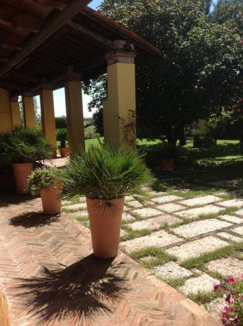 Portico Hotel con grande cortile