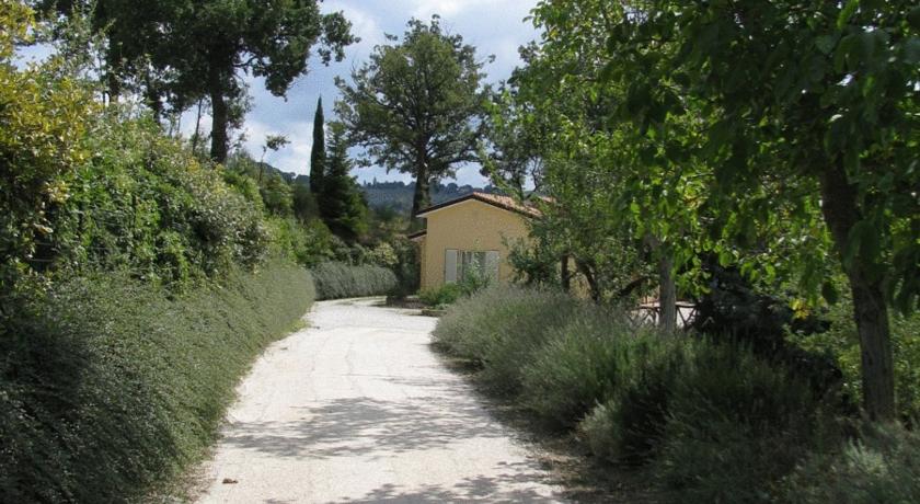 oasi-assisi-panorama