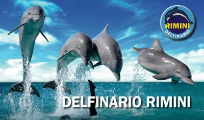 Hotels near Rimini Dolphinarium