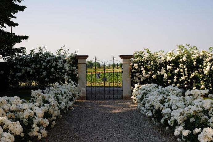 Agriturismo Pordenone con ampio giardino + parcheggio privato