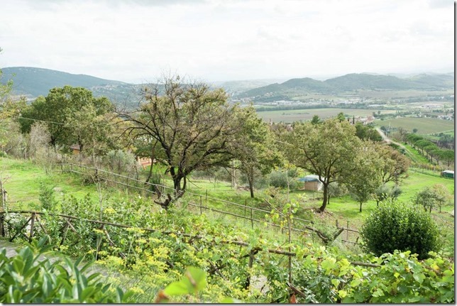 Casale Agrituristico casa-vacanza con prodotti tipici Magione 