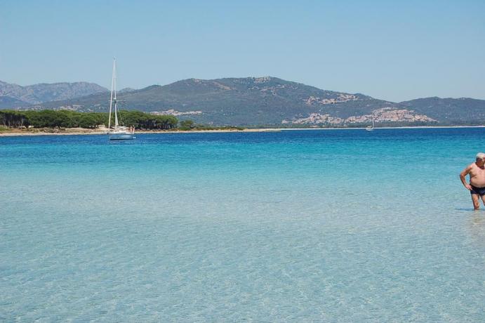 Spiagge incontaminate nel porto di Olbia	 