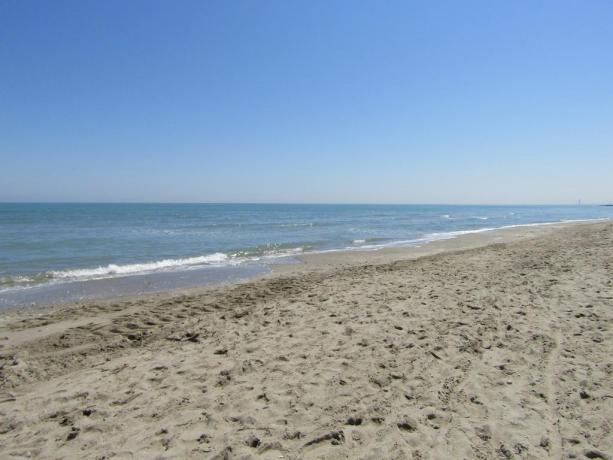 Soggiornare di fronte al mare di MilanoMarittima