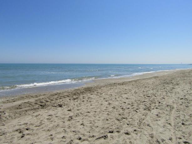 Soggiornare di fronte al mare di MilanoMarittima 