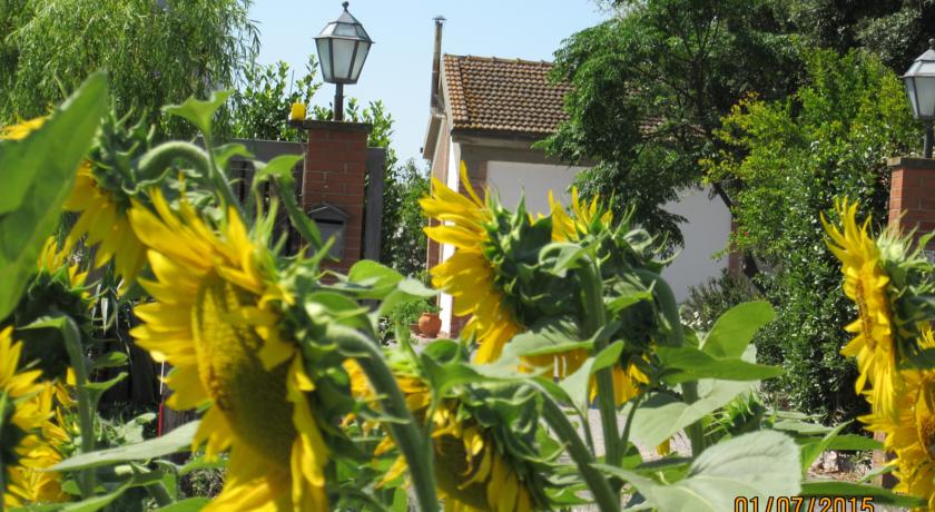 Agriturismo con Appartamenti e Piscina all'Argentario 