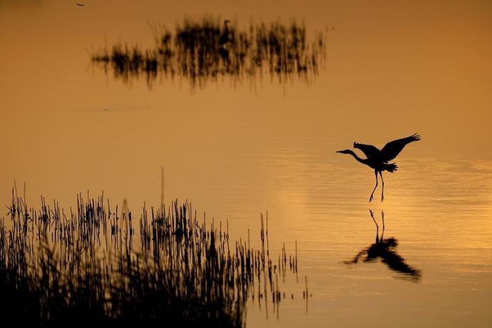 Escursione fotografica al Tramonto