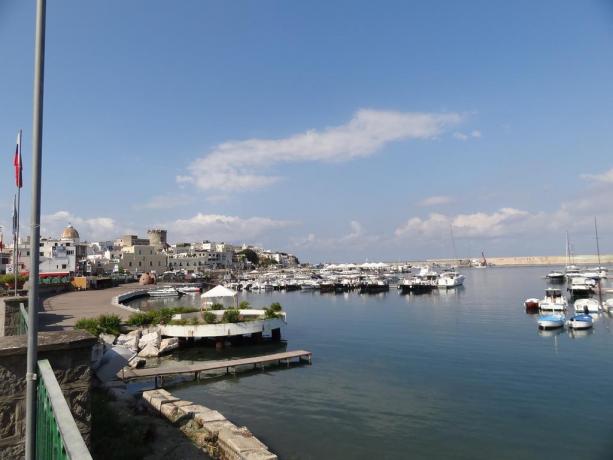 Porto dell'Isola di Ischia 