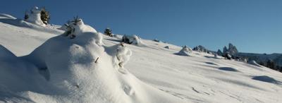 Lots of snow, anyone can ski here